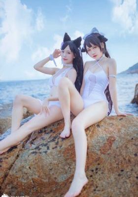 金品梅在线